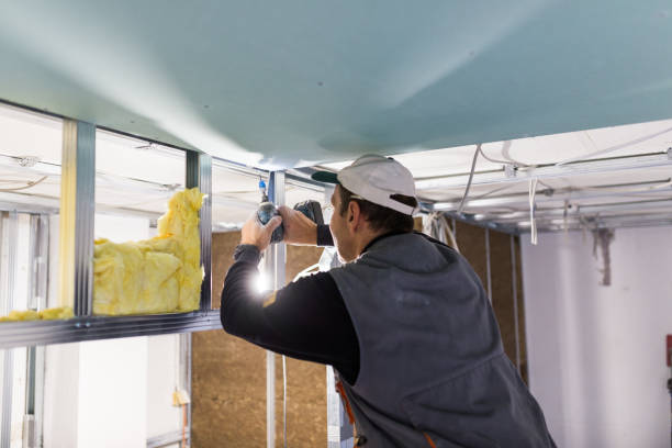 Best Spray Foam Insulation  in Lukachukai, AZ